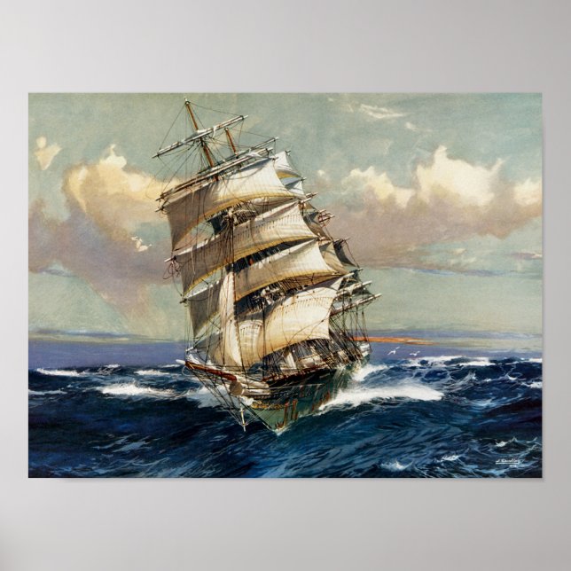 Poster Wool Clipper Satamis (Frente)