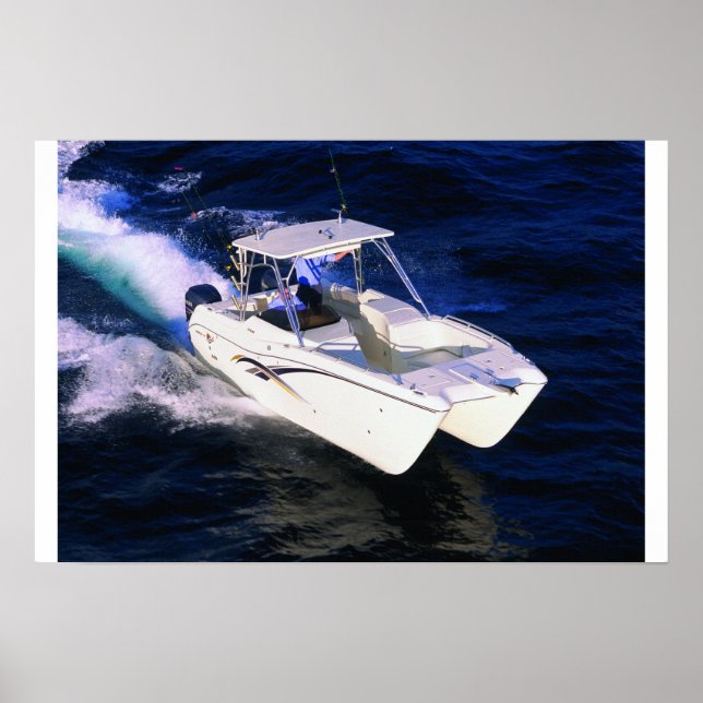 Pôster World Cat 250DC (Frente)