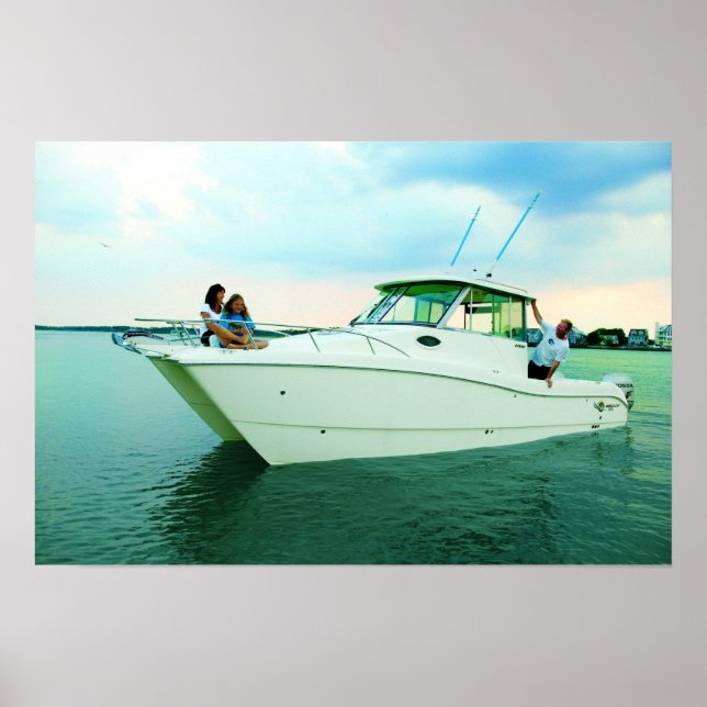 Pôster World Cat 270HT (Frente)