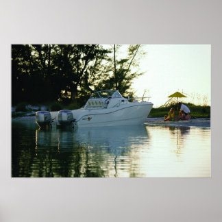 Pôster World Cat 270SC