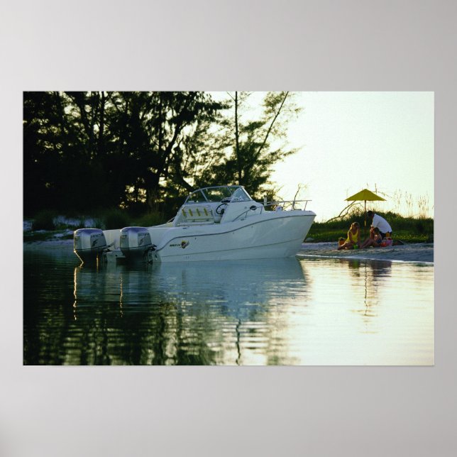 Pôster World Cat 270SC (Frente)