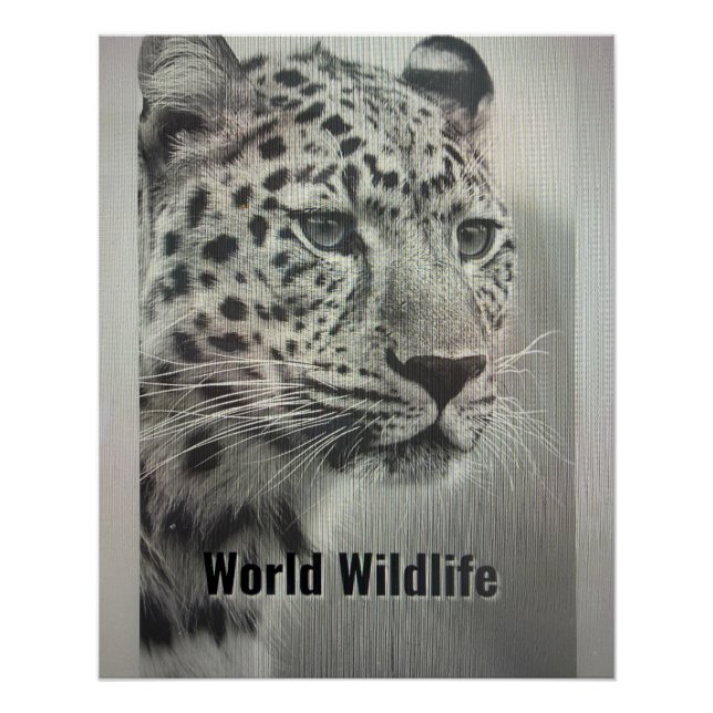 PÔSTER WORLD WILDLIFE POSTER (Frente)