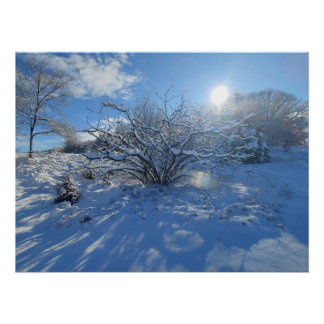 Pôster Wow is the Winter of Artist Content