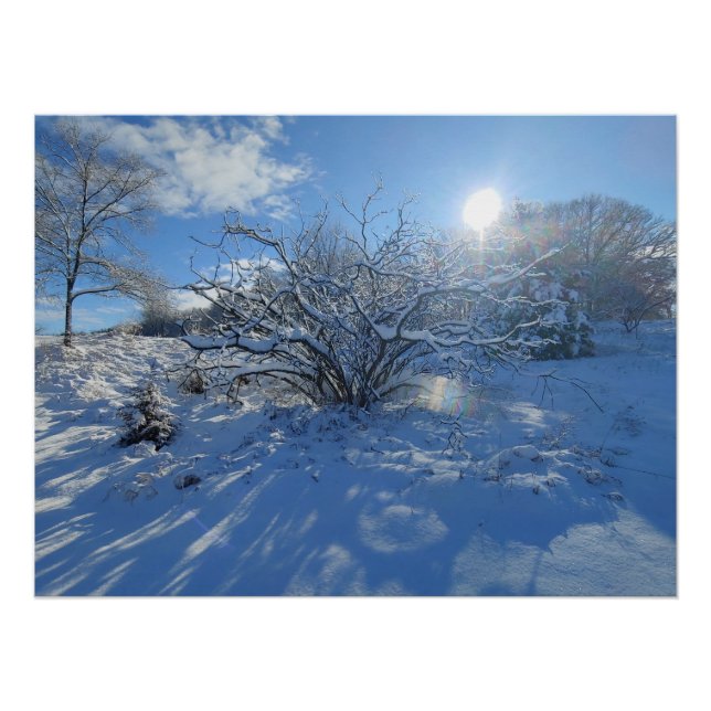 Pôster Wow is the Winter of Artist Content (Frente)