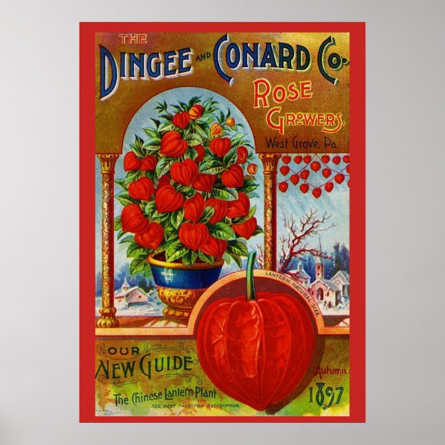 Poster WQ: Lanterna Chinesa (Frente)