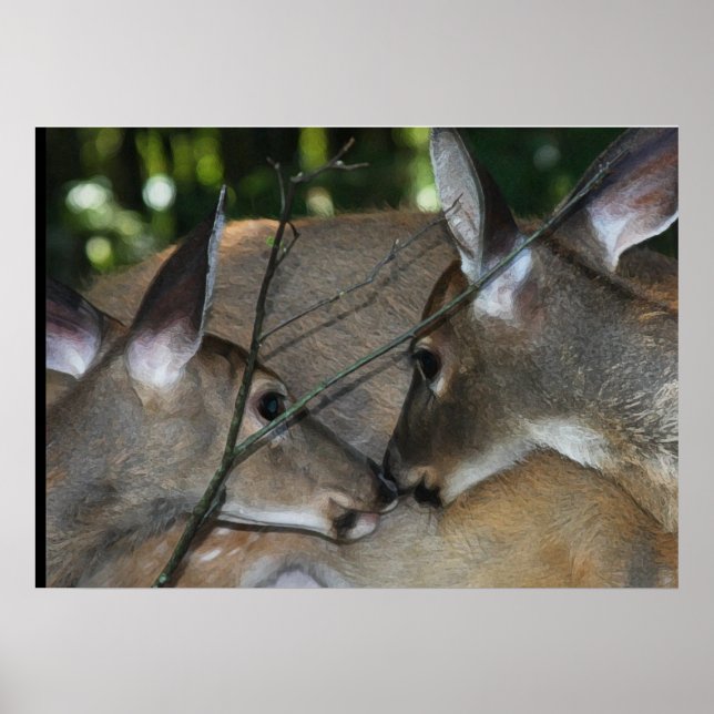 Poster WT Deer Embrace (Frente)