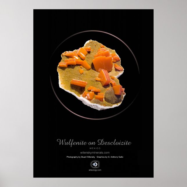 PÔSTER WULFENITE (Frente)
