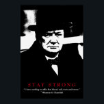 Poster WWII Cote Winston Churchill Pop Motivational Art<br><div class="desc">Imagens Motivacionais da Liberdade e Coragem - Águia Cálida Americana sem Coragem - Nossa maior glória não é em nunca cair,  mas na ascensão toda vez que caímos.</div>