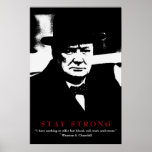 Poster WWII Cote Winston Churchill Pop Motivational Art<br><div class="desc">Imagens Motivacionais da Liberdade e Coragem - Águia Cálida Americana sem Coragem - Nossa maior glória não é em nunca cair,  mas na ascensão toda vez que caímos.</div>