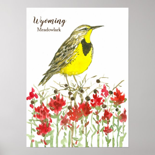 Poster Wyoming Meadowlark Songbird Indian Paintpush (Frente)