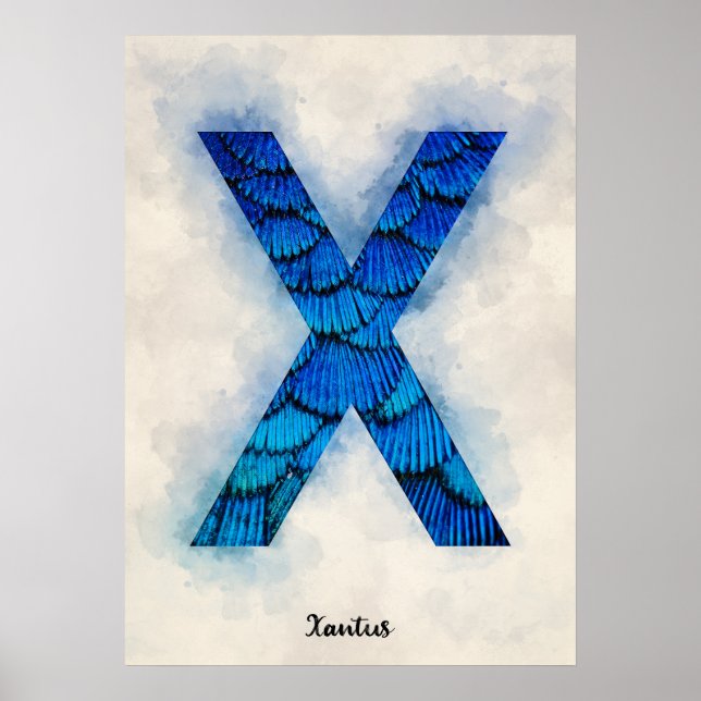 Poster X é para Xantus (Frente)