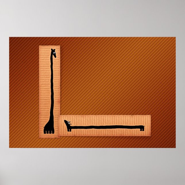 Pôster X e Y (Frente)