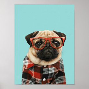 Poster Xadrez Shirt Pug