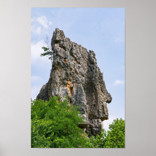 Poster Xilim pinnacle Stone Forest - Yunnan, China, Ásia