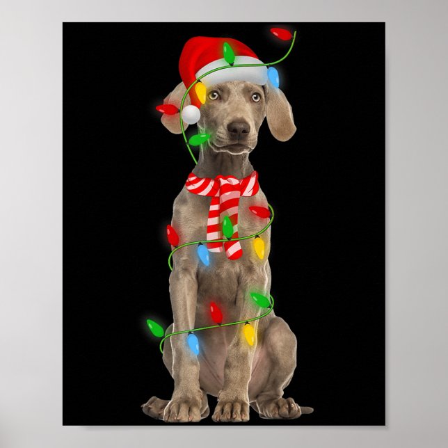 Poster Xmas Lighting Holiday Santa Weimaraner Dog Christm (Frente)