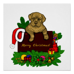 Pôster XMas Puppy