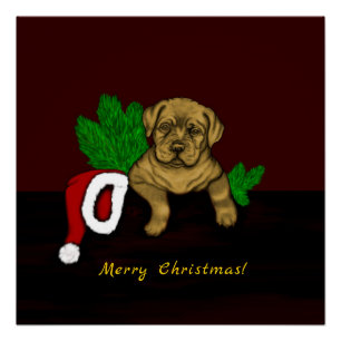 Pôster XMas puppy