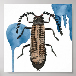 Poster Xylobanus Japonicus