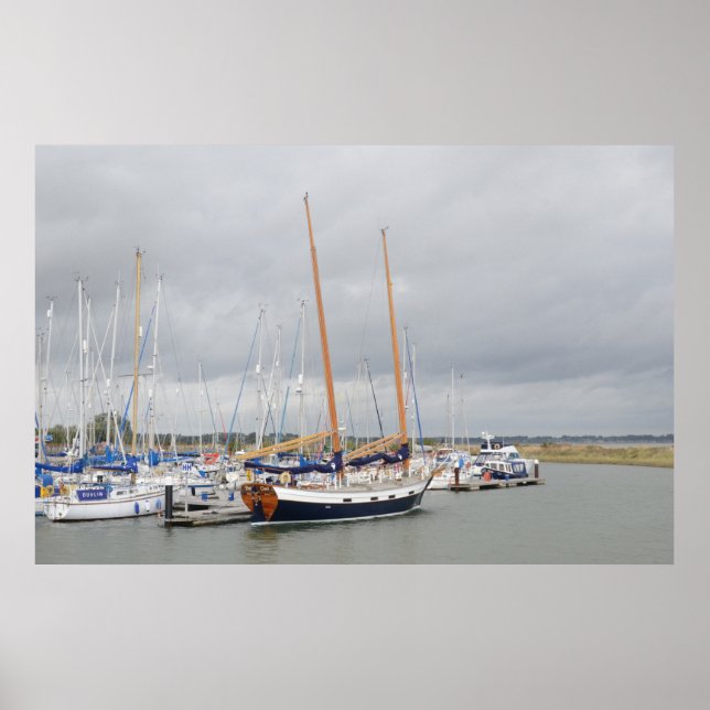 Pôster Yacht Barn Owl (Frente)