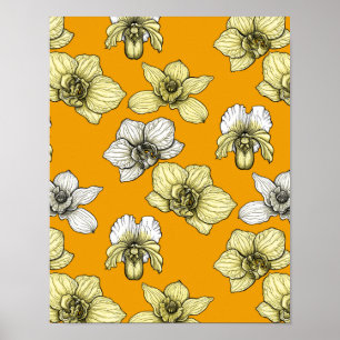 Poster Yellow and white orchid flowers