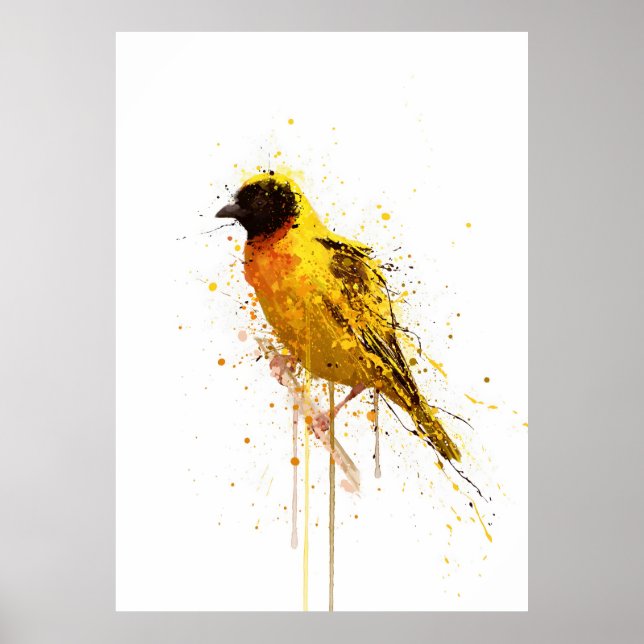 Poster Yellow-Backed Weaver Bird (Frente)