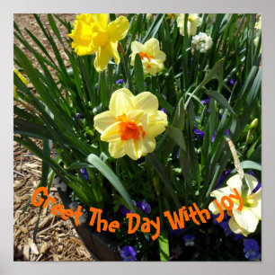 Poster Yellow Daffodil