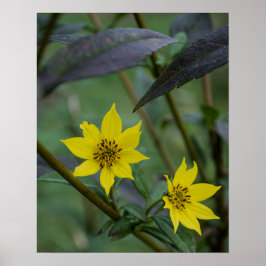 Poster Yellow Fall Flower