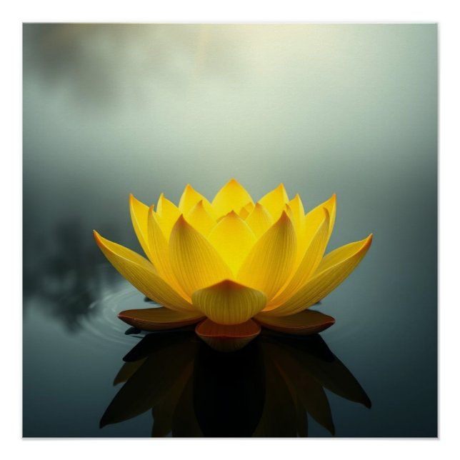 Pôster yellow lotus (Frente)