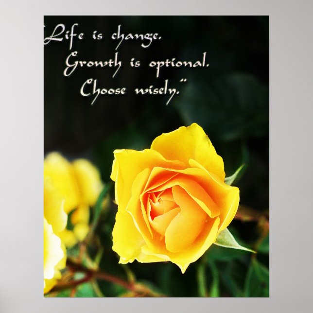 Poster Yellow Rose Photo ~ Life is Change, Choose Wisely (Frente)