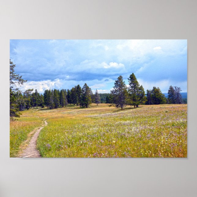 Poster Yellowstone National Park Meadow Trail (Frente)