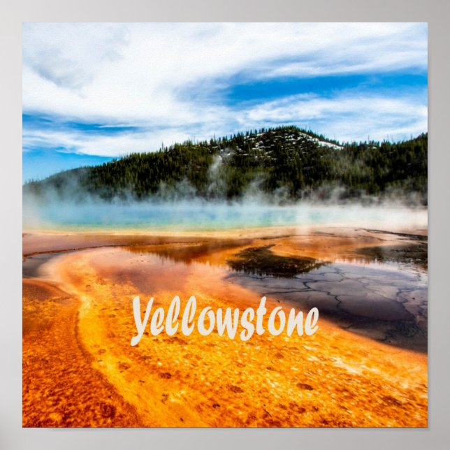 Poster Yellowstone National Park Monta Animais Naturais (Frente)