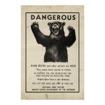 Yellowstone Park 1959 - Urso Perigoso