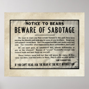 Poster Yellowstone Park Note Urso Humoroso 1959