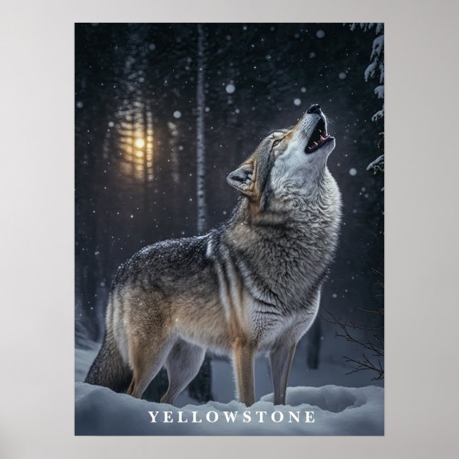 Poster Yellowstone Wolf (Frente)