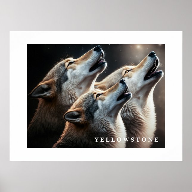Poster Yellowstone Wolves (Frente)