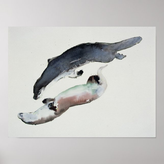 Pôster Yin Yang (Frente)