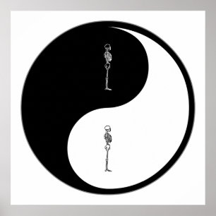 Poster Yin Yang Chiropractic