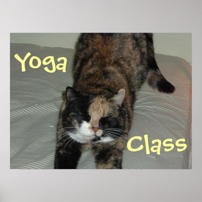 Pôster Yoga Cat (Frente)