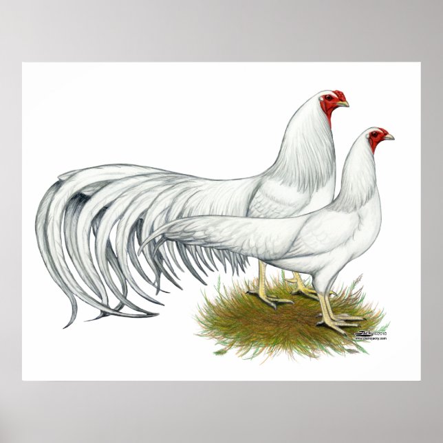 Pôster Yokohama: Par Branco (Frente)