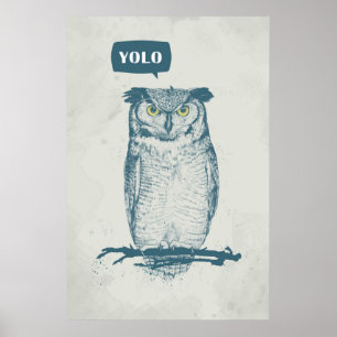 PÔSTER YOLO