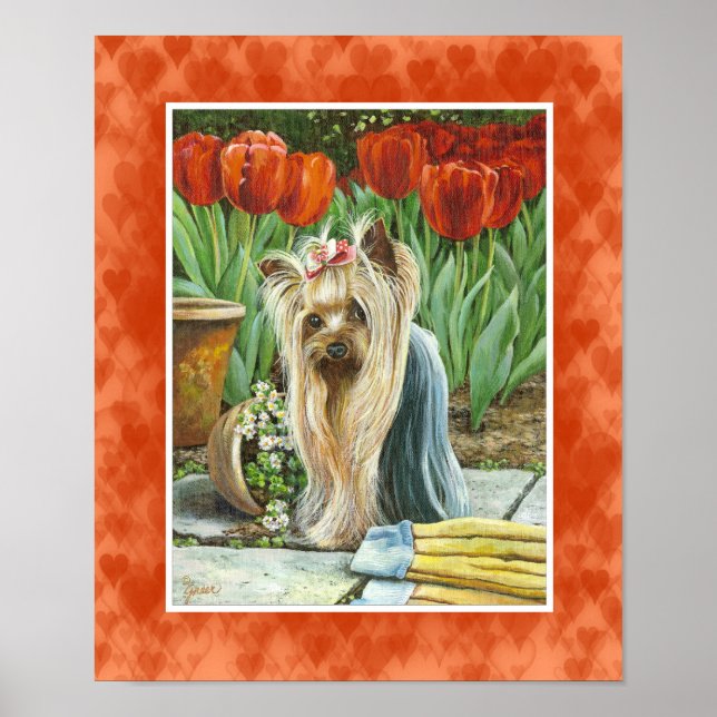Pôster Yorkie em Tulip Garden Canvas Print (Frente)