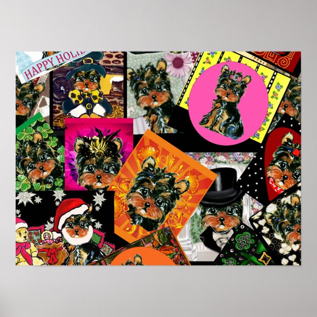 POSTER YORKIE POO (Frente)