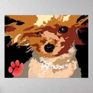Pôster Yorkie supermodel