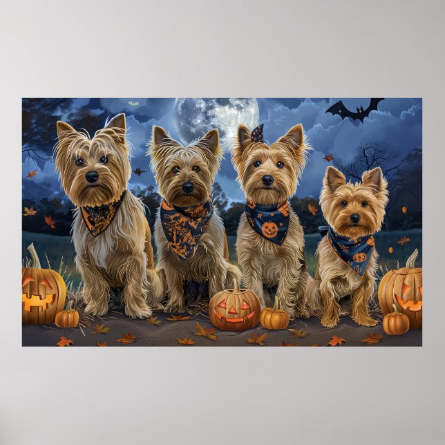 Poster Yorkipoo Halloween Assustador  (Frente)