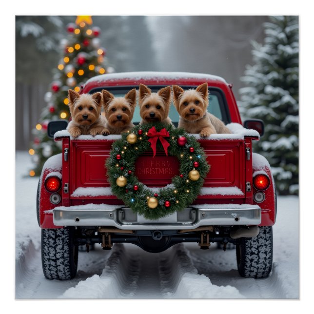 Pôster Yorkshire Terrier Christmas Red Truck Holiday Gift (Frente)