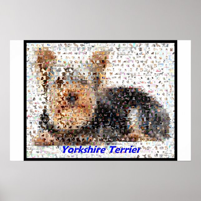 Pôster Yorkshire Terrier Montage (Frente)