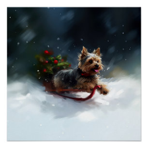 Pôster Yorkshire Terrier Natal inverno