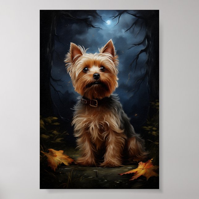 Poster Yorkshire terrier numa noite iluminada (Frente)