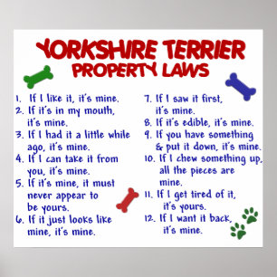 POSTER YORKSHIRE TERRIER PL2