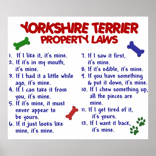 POSTER YORKSHIRE TERRIER PL2 (Frente)